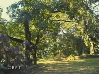 Trans Desire Underground: Urusan trans 8