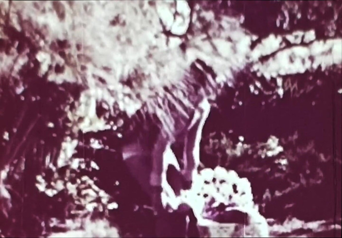 Close Encounter Vintage: Vintage porn retro erotic theatre - wild sex 5