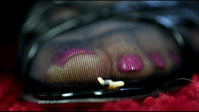 Ella Kross: Intrappolato nelle mie calze di nylon sudate