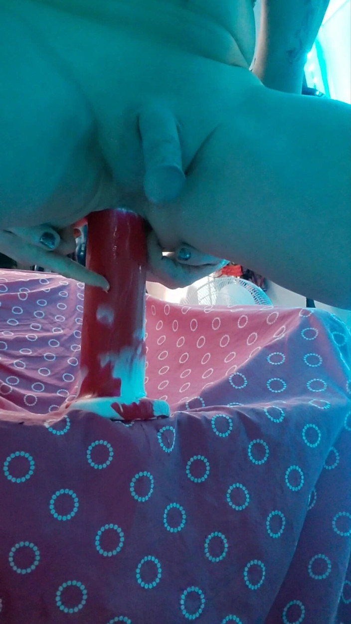 Krystall Cox: 거대한 딜도로 엉덩이를 벌리는 섹시한 트랜스 소녀