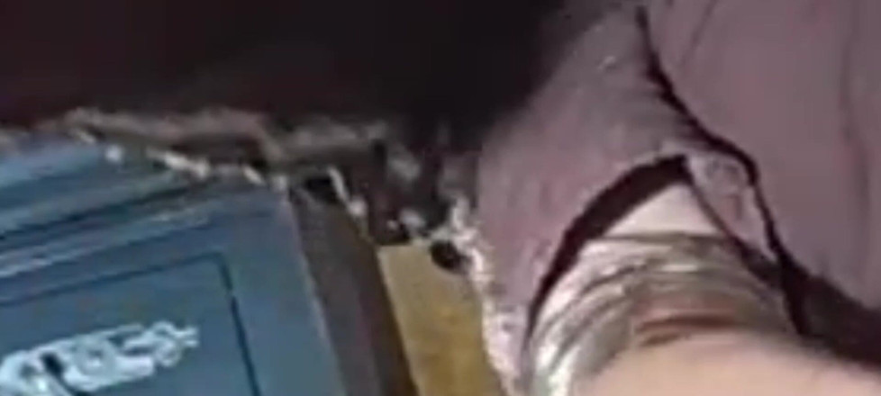 Wajidsexy: Indická desi bhabhi hardcore šuká jako stroj s velkým ptákem