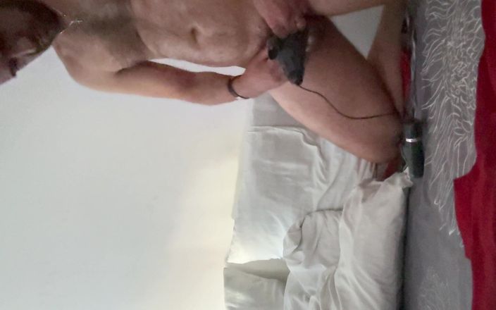 PureBredBreeder: Hotel Breed