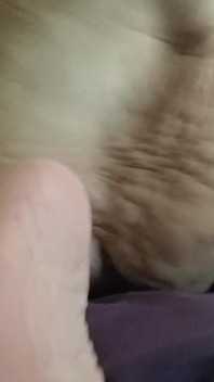 Twerking that fat ass damn her boytoy vem muito rápido