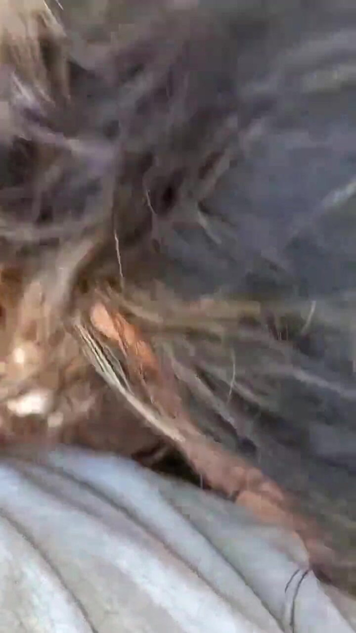 Mangacaribe: 공공 장소에서 재능있는 흑인과 섹스하는 첫 마누라