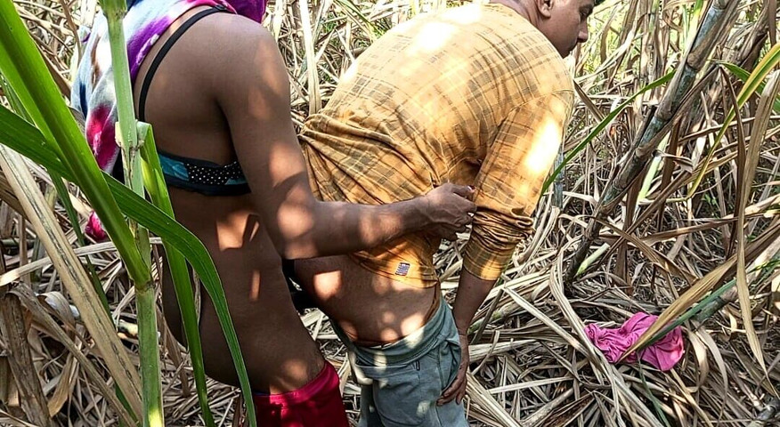 Indian Shemale - Two Truck Drivers and Shemale Pooja Went to the Early This Morning, Sugarcane Field Hard Fucking. (Indian Hijraji) Indian Shemale - Two Truck Drivers and Shemale Pooja Went to the Early This Morning, Sugarcane Field Hard Fucking. (Indian Hijraji)