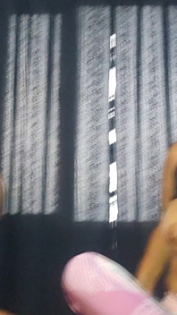 Titty Fight for the Dildo
