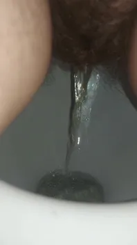 Pee Pissing in the Toilet