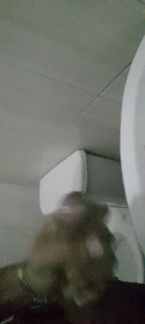 Latin sex 33: 仕事中のトイレでのオナニー