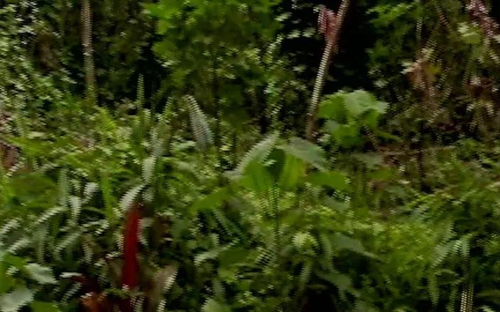Just X Gays porn: Rugged Daddies Can’t Wait - Wild Outdoor Hookup in the Heat...