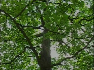 Out Sexxx: Echte schlampen wurden abgeschleppt und an unglaublichen orten gefickt (kompletter porno-film)