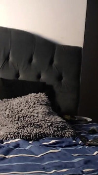 Wytrysk w moim pokoju Misntars oglądają gorące porno