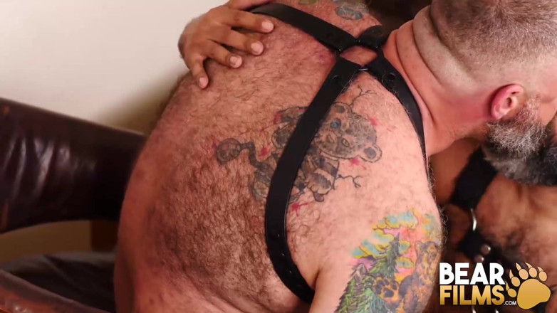 Bear Films: BEARFILMS Bear Sterling Johnson raw breeds fat Kurt Jacobs