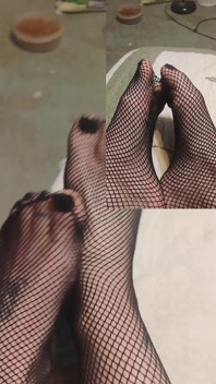 Fishnet Mengusik