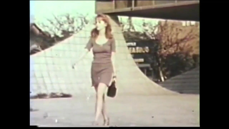 Vintage Usa: John Holmes in Wonderland with Hairy Pussies (full Movie)