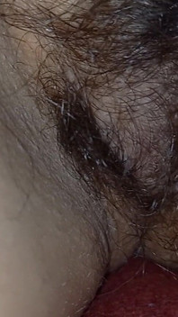Hairy Pussy Shorts