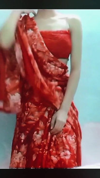 Lala Saree Orgasam