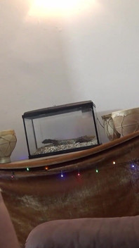 yuva bildar ke saath dhokha shooting star ko bari chhoot milti hai