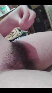 My Bush Is Becoming More and More Abundant.