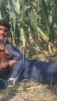 Asian Black Boy Big Cock Cumshot HD