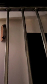 Lady Medea Fait Pipi Pour Mon Esclave Des Toilettes En Cage, POV