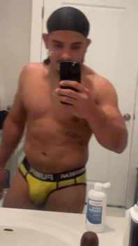 Mulato