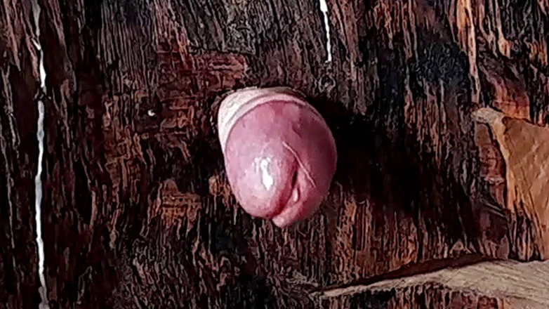 Master Drex: Ljusstake för knull
