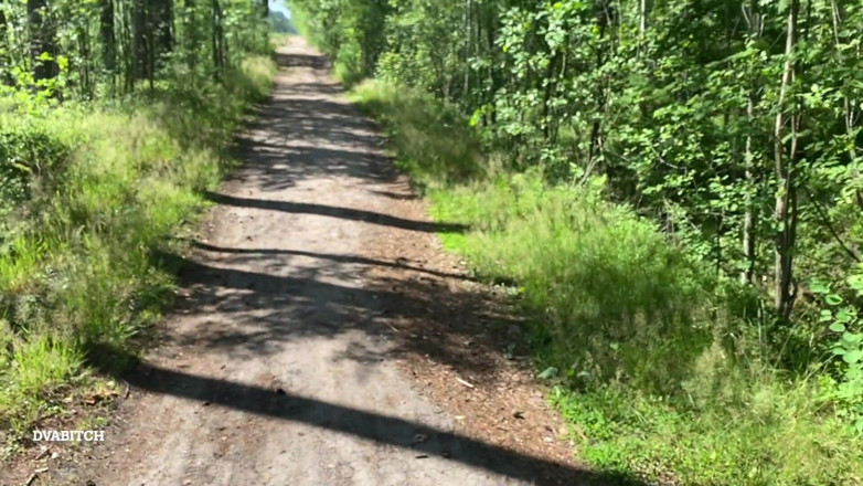 Dvabitch: Amateur couple sex in the woods