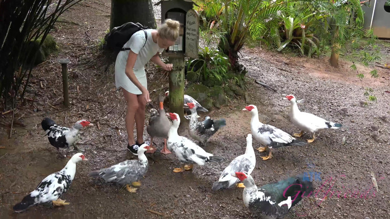 ATK Fans (Girlfriends): Virtual Vacation in Hawaii with Emma Hixx 9/16