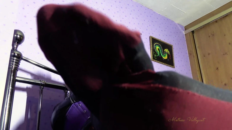 Mxtress Valleycat: Silky Stockings Sniffing Slave
