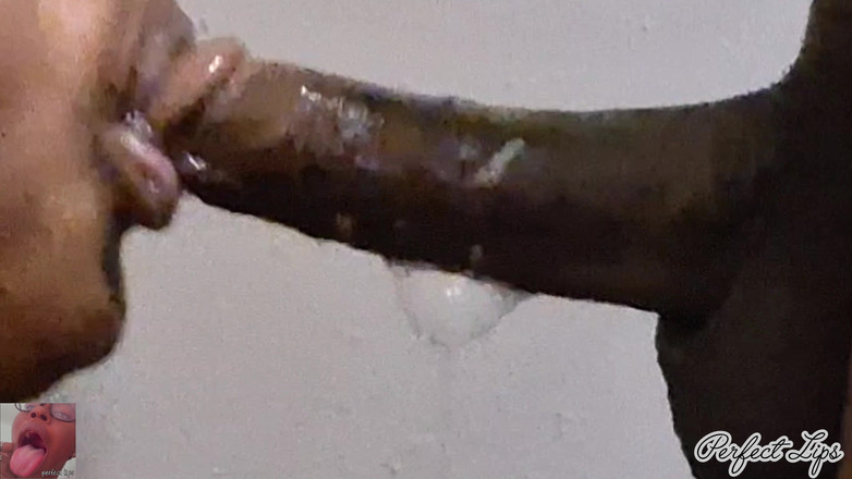 Pperfect lips: Soft Rts saje ptáka Super Nedbalý