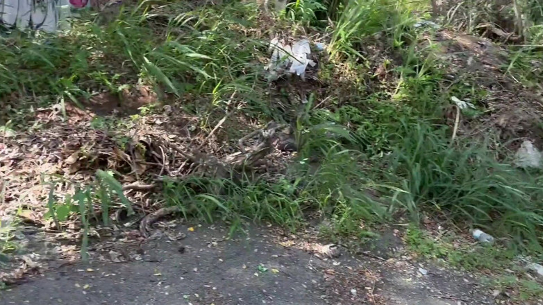 ortizjona: Завжди збуджую мене, гуляючи в покинутих місцях і дрочити Джону Ортіс Ортісджона