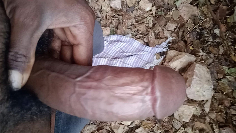 Somashekar studio: 소마세카르 스튜디오