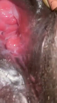 Glimpse of My Black Holes