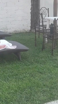 Natočil jsem svou nevlastní sestru, jak se opaluje nahá a masturbuje na zahradě