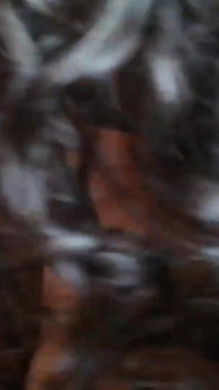 Desi Hot Stepmom Seduces Stepson6