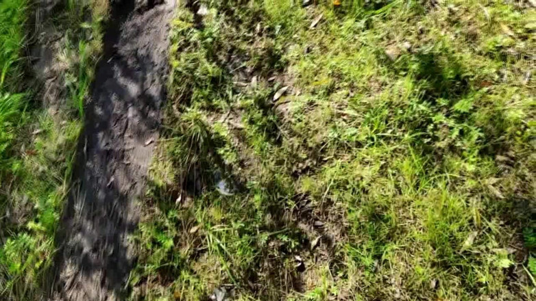 qaz11: Kerja Tangan Pantas di Tepi Sungai