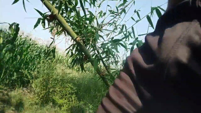 DesiDarkArt: Panjabi Desi Boy Forest Outdoor Handjob