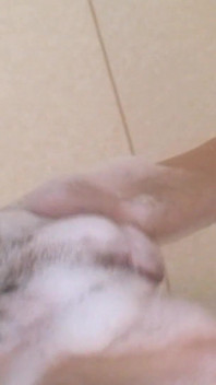 Dicke Asiatische MILF Liebt Einen POV-creampie