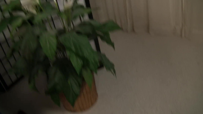 Fuck Cumshot Party: Dwie gorące laski grillują na jednym wielkim kutasie i liżą...