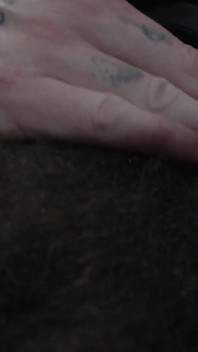 Alpha Superiority Pubic Hair