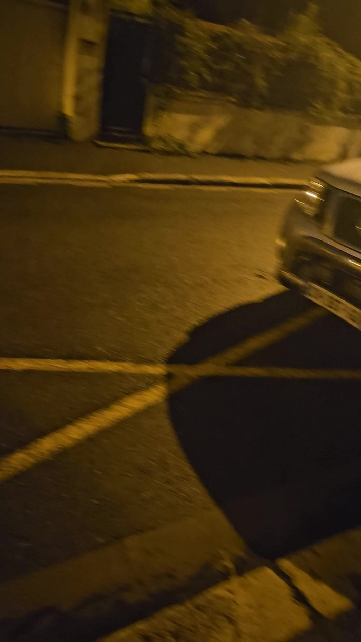 J and rose: Piękna dziwka zwierzę