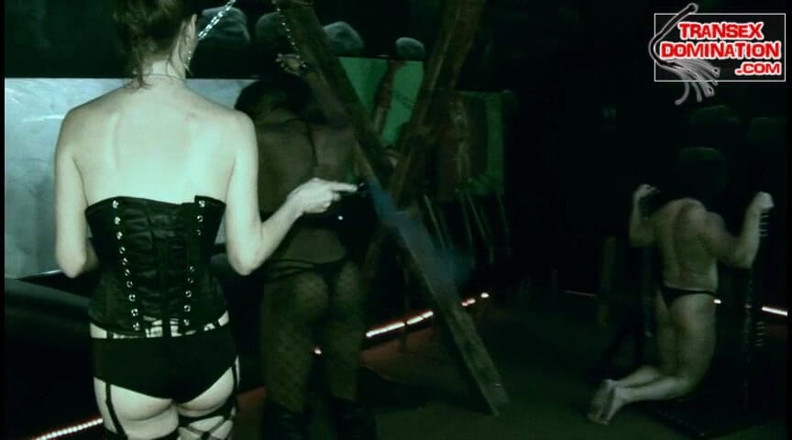 Transex domination: Mandy 3 Way Mendominasi