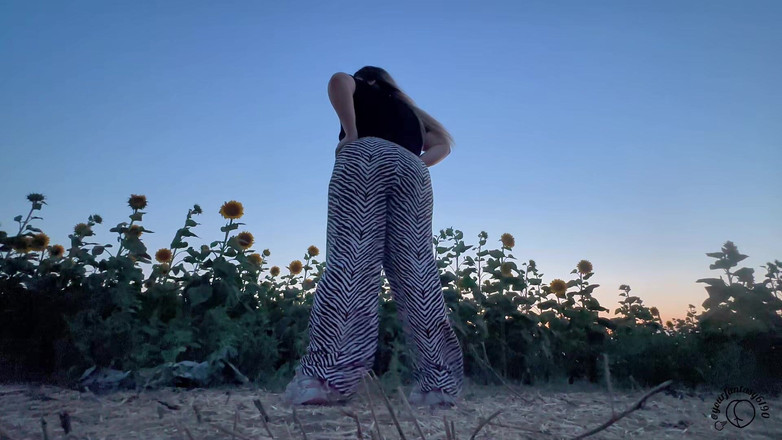 Your fantasy studio: Sunshine Fart Queen - Поле смердючих квітів