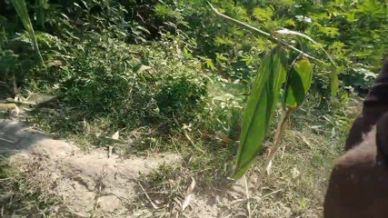 DesiDarkArt: Ngocok kontol cowok berondong panjabi india di luar ruangan