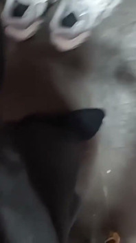 Gordinha Safadinha Video Amador