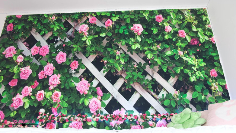 Destination Kat: Plížil se na párty tvé přítelkyně