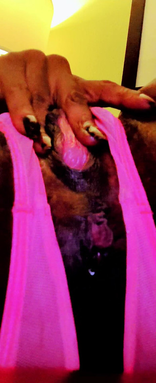 Perswayzion Xstacy: Rosa Fitta Rosa Rövhål