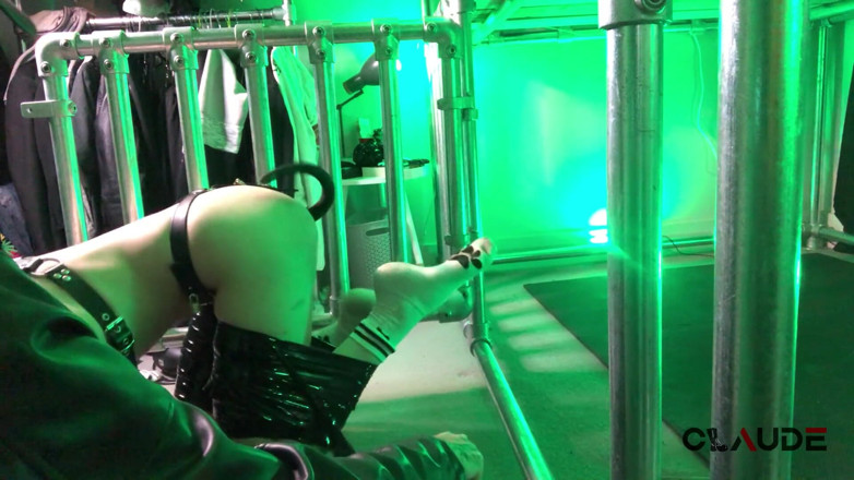 Claude Nikotine: Bermain tembusan bergambar di dalam sangkar