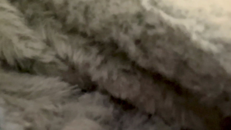 Alpha stud 4 u: Použijte moji velkou prstu v jejím těsném malém zadku, když...