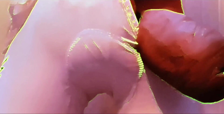 Monster_Meat_: Tour de france (lycra bulge putih)